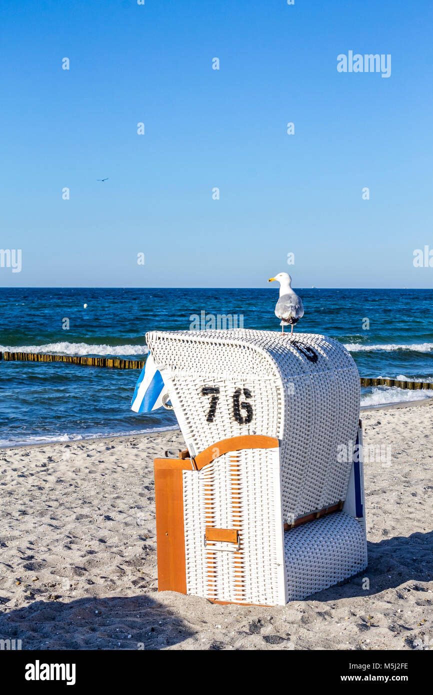 Germany, Mecklenburg-Western Pomerania, Baltic sea seaside resort Kuehlungsborn, hooded beach chair and seagull Stock Photo