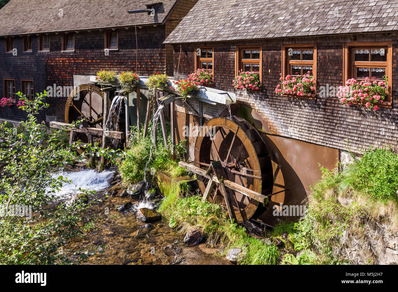 Deutschland, Baden-Württemberg, Schwarzwald, Hexenlochmühle, Mühle, Bach Stock Photo