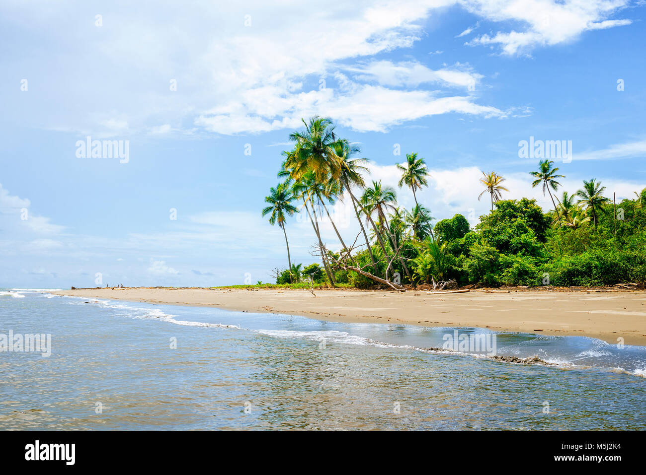 Costa Rica, Beach landscape with palm trees Stock Photo Alamy