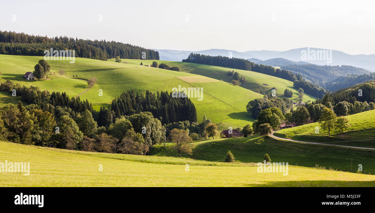 - images photography stock and Alamy Bauernhaus schwarzwald hi-res