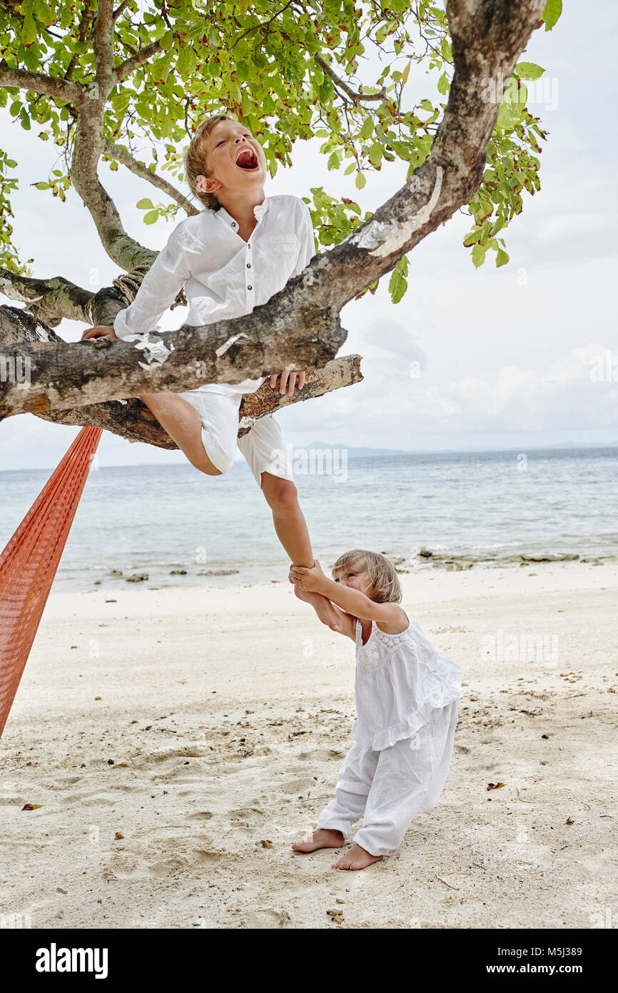 Thailand, Phi Phi Islands, Ko Phi Phi, playful boy and little girl climbing on a tree on the beach Stock Photo