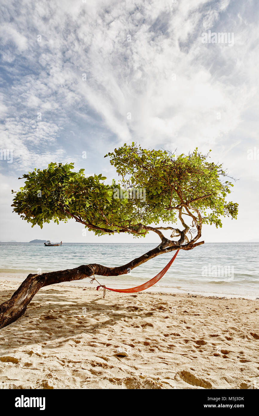 Thailand, Phi Phi Islands, Ko Phi Phi, hammock in a tree on the beach Stock Photo