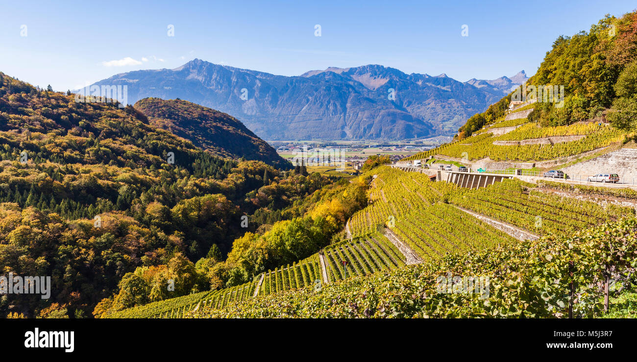 Schweiz, Kanton Waadt, Rhonetal, Aigle, Weinberge, rechts Route des Ormonts, Straße, Verkehr, Weinbau, Herbst Stock Photo