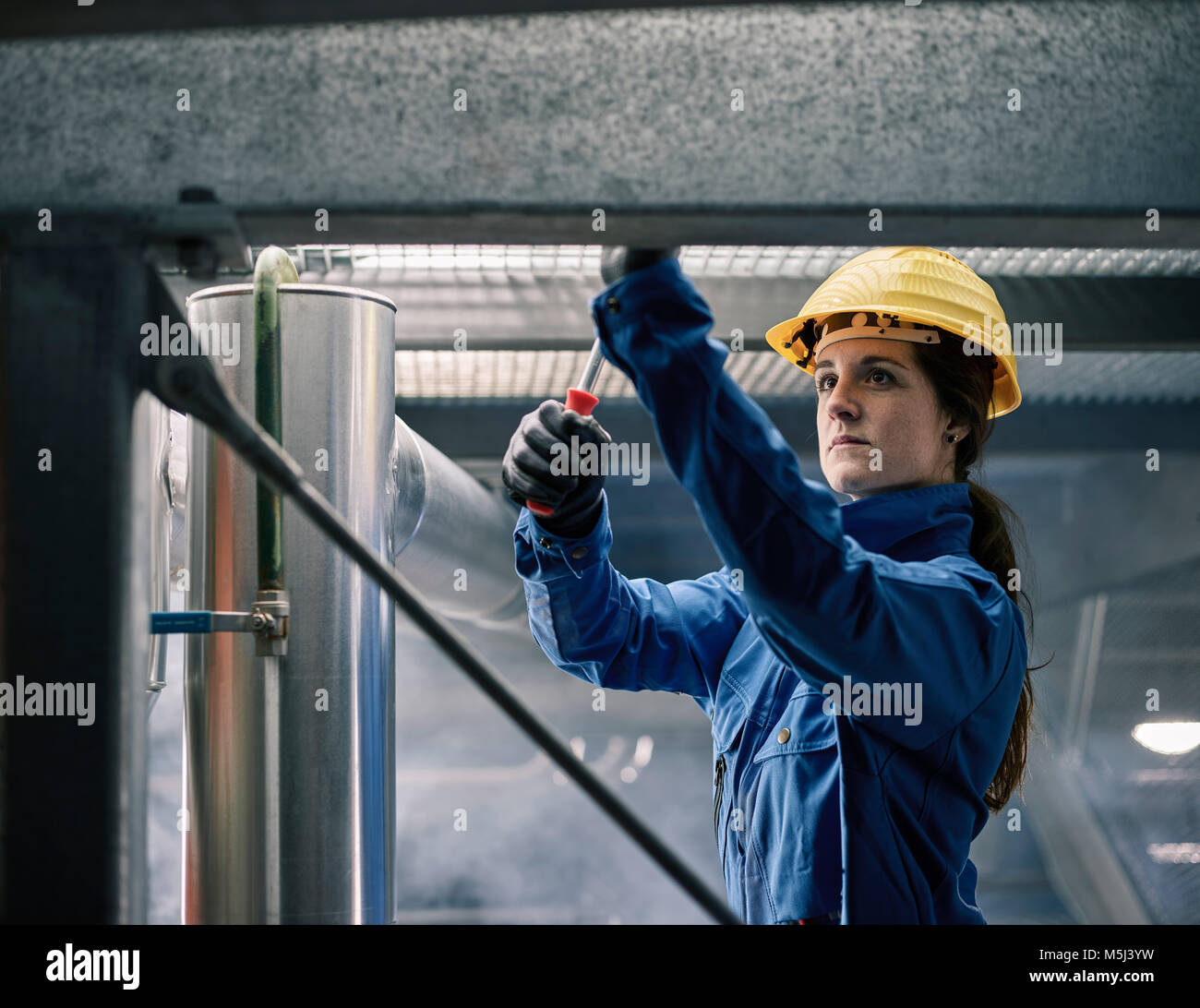 Craftswoman wearing hard hat at work Stock Photo Alamy