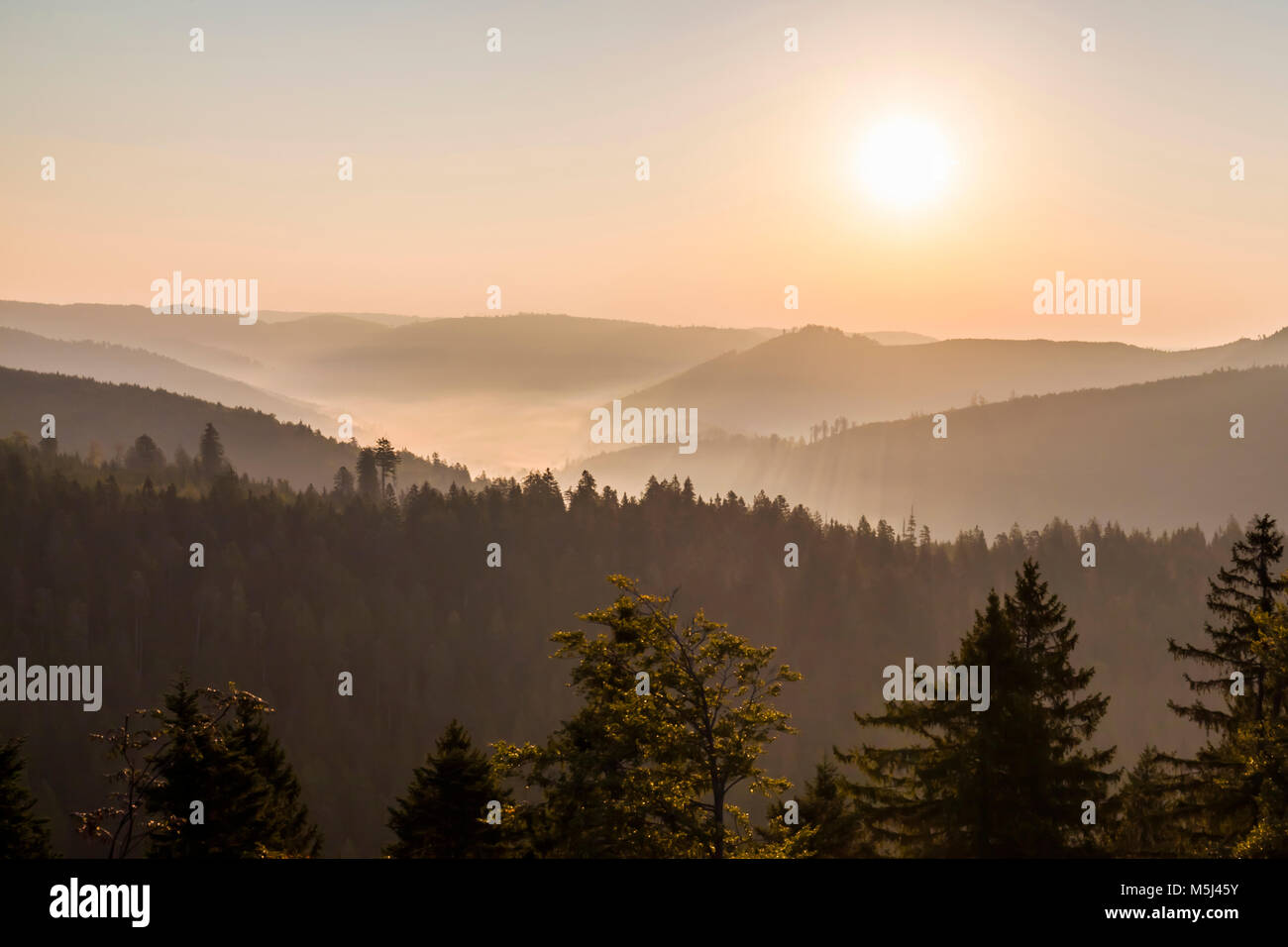Deutschland, Baden-Württemberg, Schwarzwald, Blick vom Schliffkopf, Tal, Wald, Bäume, Nebel, Morgennebel, Sonnenaufgang Stock Photo