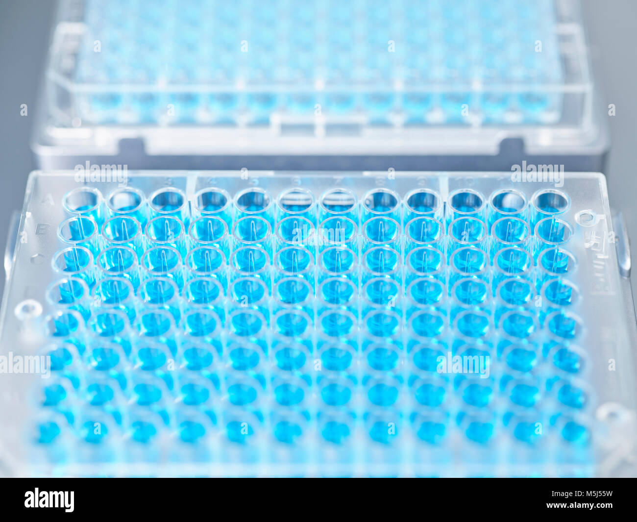 Lab equipment in lab Stock Photo