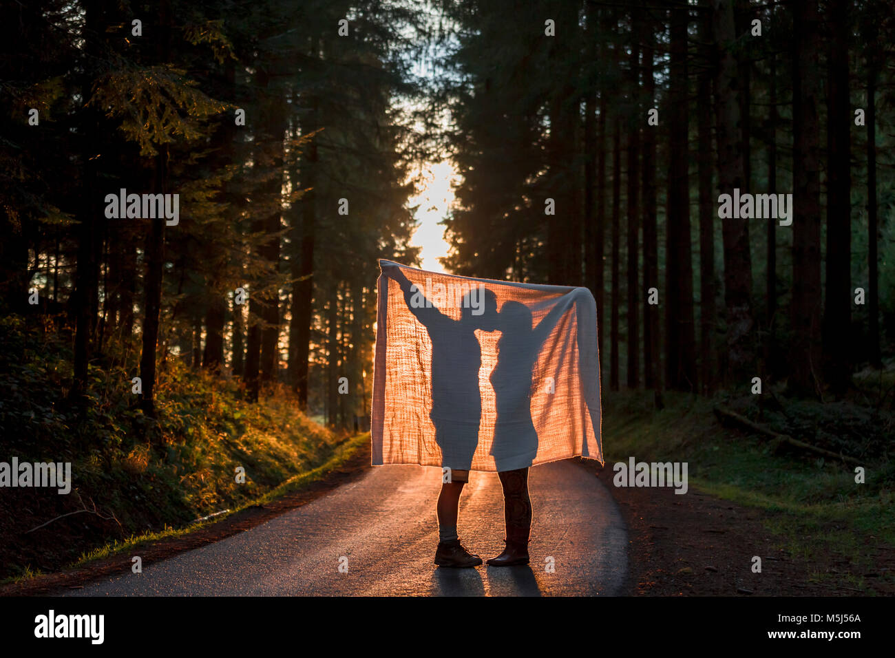 Silhouette of couple holding blanket kissing on country road in forest Stock Photo