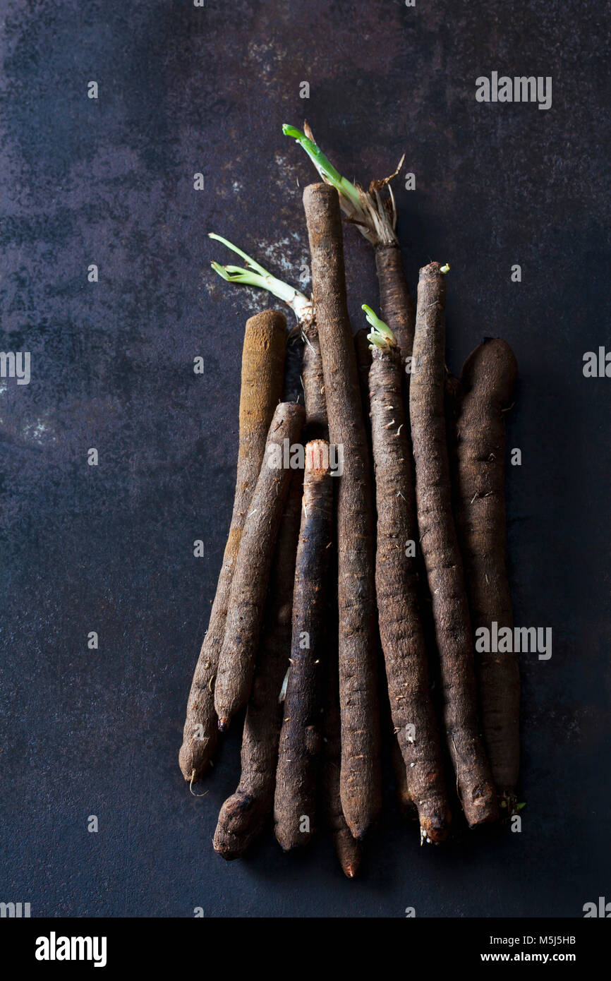 Salsifies on dark background Stock Photo