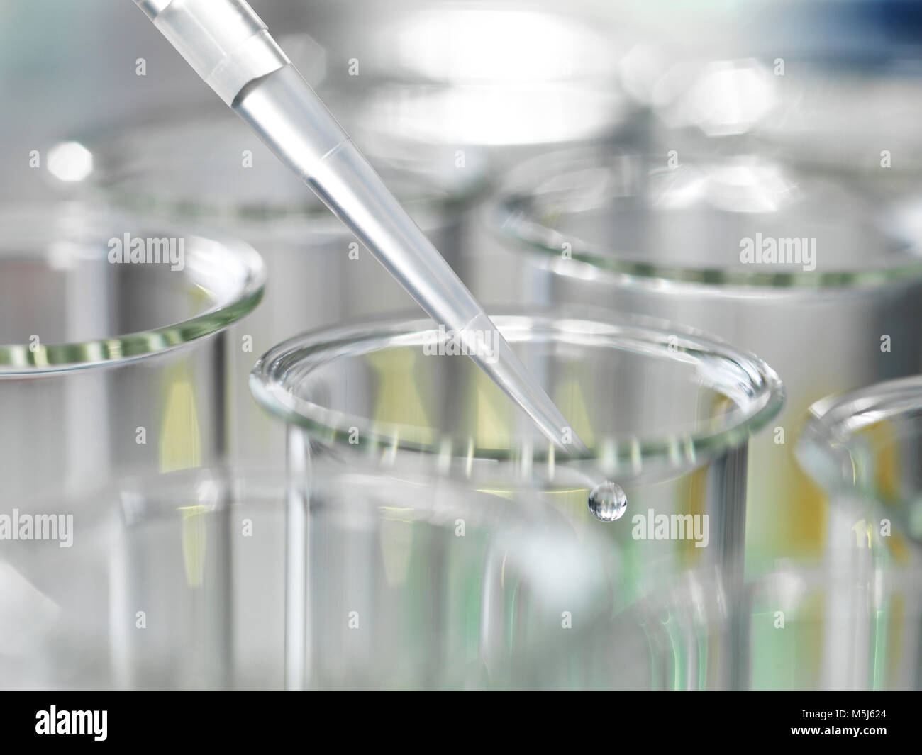 Sample being pipetted into test tubes during a laboratory experiment Stock Photo