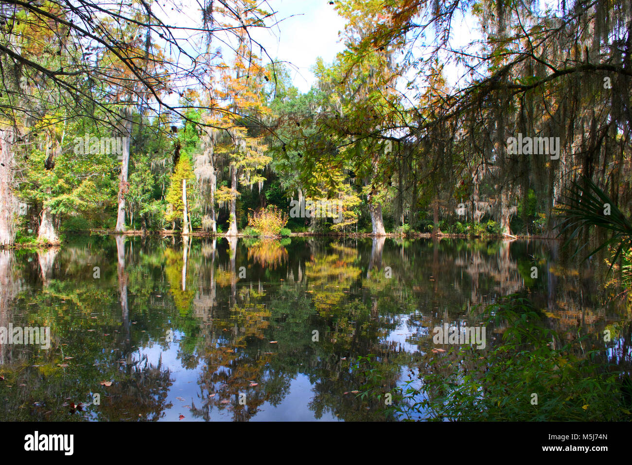 Swamps the united states of america hires stock photography and images Alamy