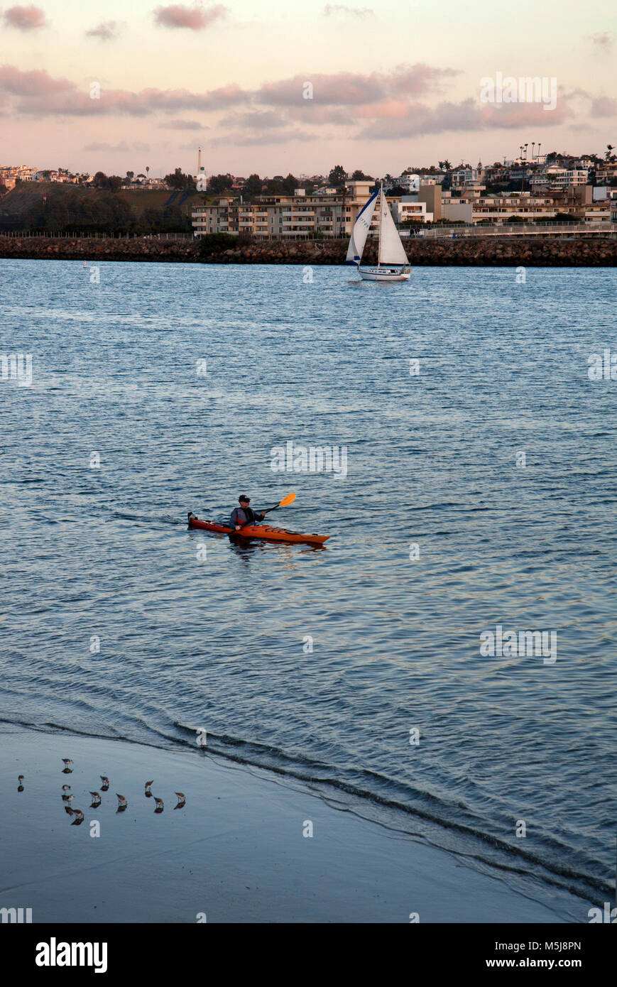A man kayays in the channel leading from Marina Del Rey with Playa Del Rey in the background out to the Pacific Ocean at sunset in Los Angeles, CA. Stock Photo