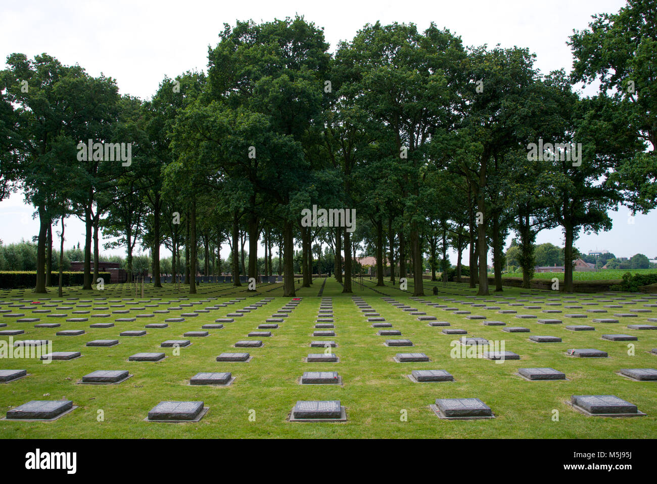 Rows of gravestones at the Langemark German war cemetery Stock Photo