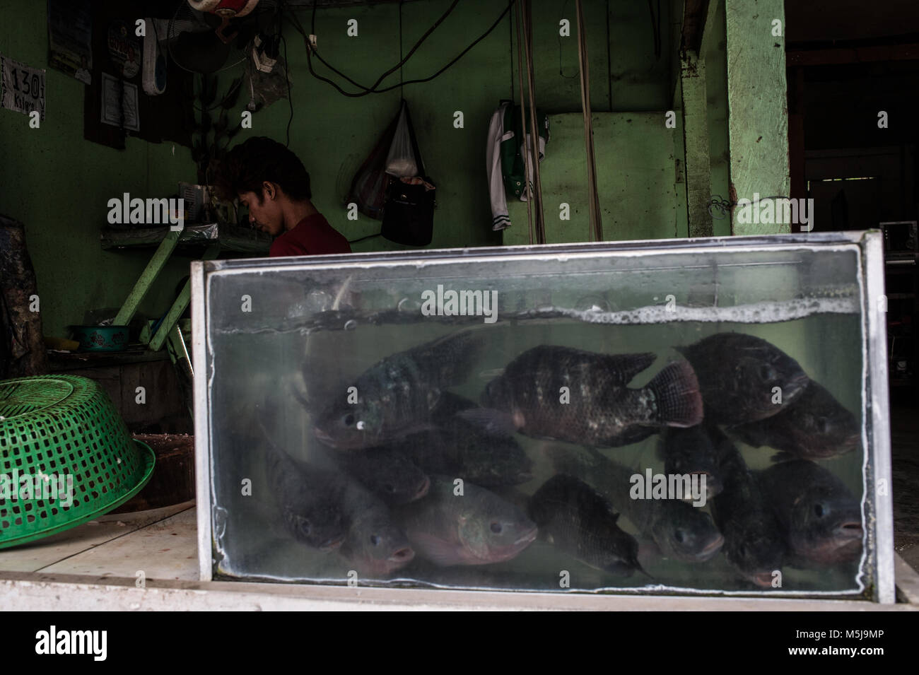 Tilapia fish (Tilapia mossambica) in a fish shop, Mabini, Batangas, Philippines, Asia Stock Photo