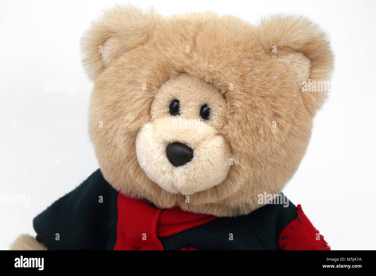 Large Plush Cuddly Teddy Bear with Green Jumper and Red Scarf Stock Photo