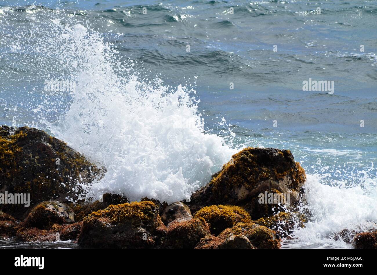 The ocean waves are crashing and splashing up against the rocks along the coastal shoreline of Hawaii Stock Photo