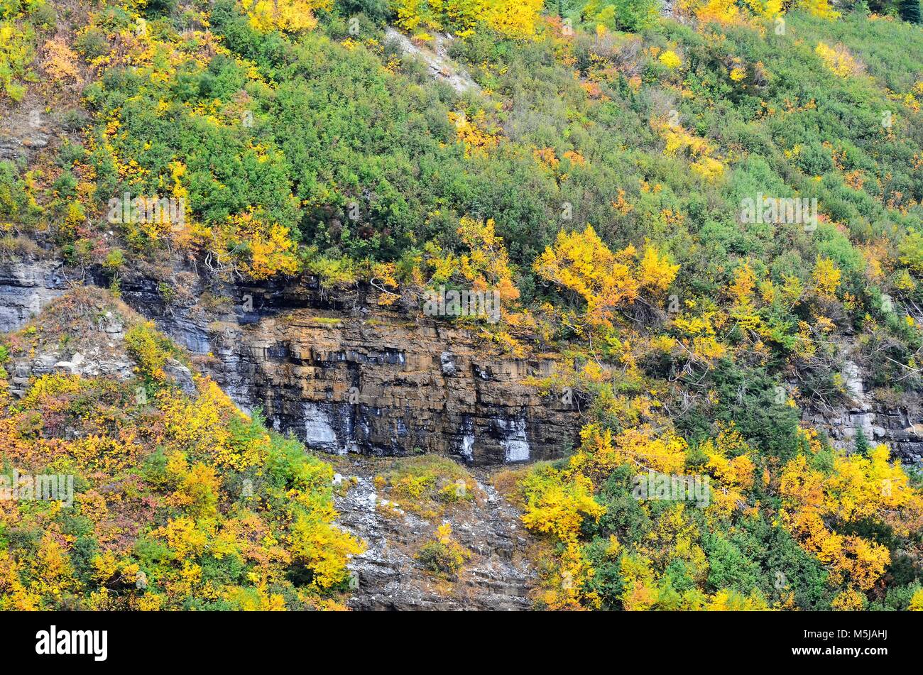 Way up high in the mountains the seasons are changing.  Leaves on the trees are stunning yellows and reds, with mountain water running over the rocks Stock Photo