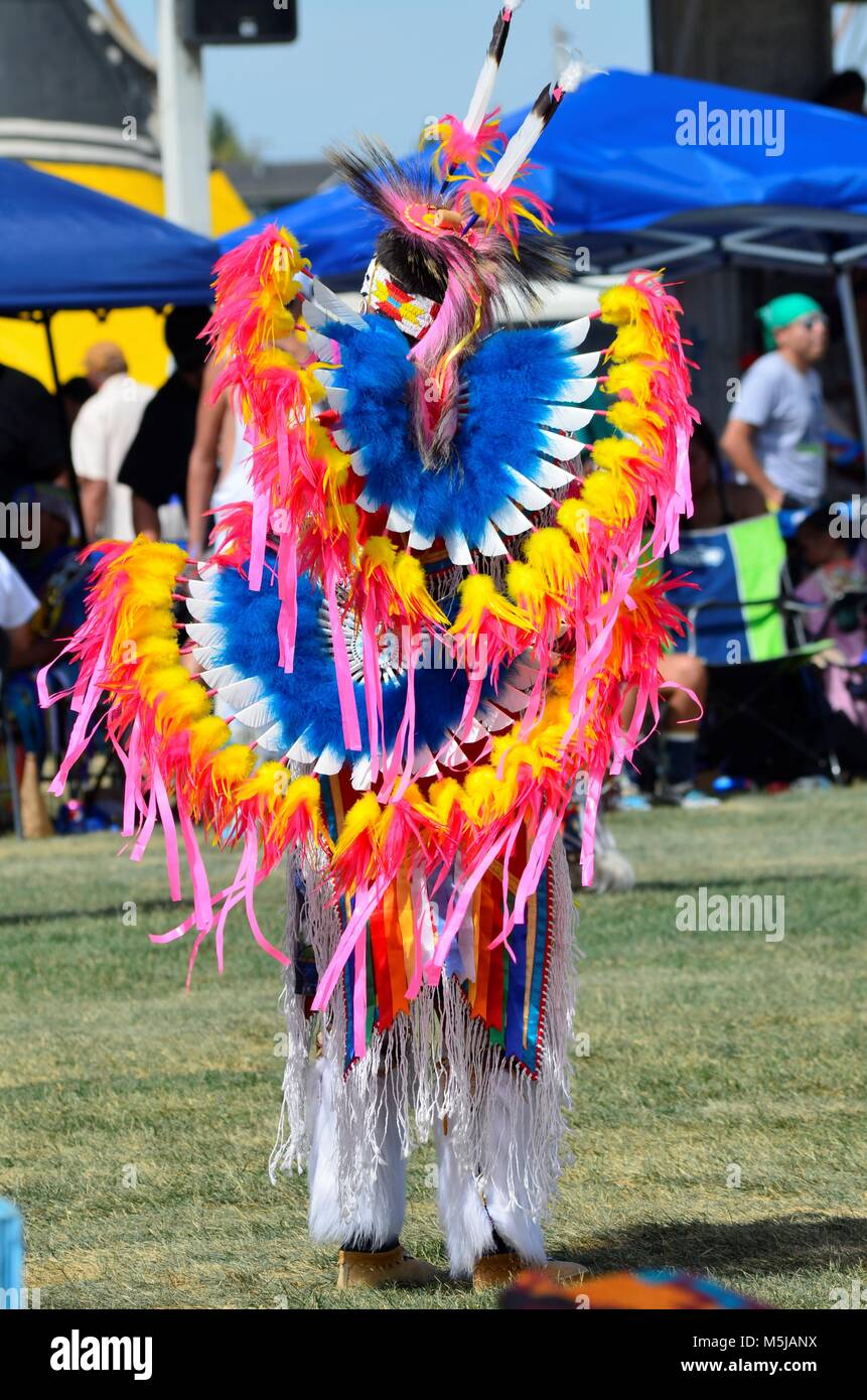 A closeup of a male aboriginal dancer, with an amazing double bustle, with brilliant blue, yellow, white and pink feathers all on his back Stock Photo