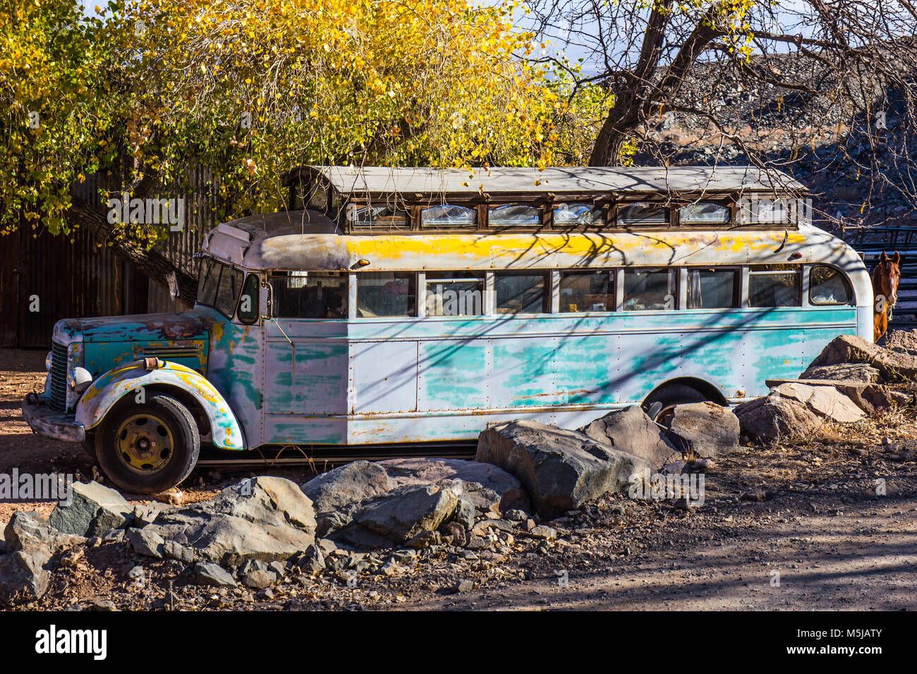 Old Faded Converted School Bus In Salvage Yard Stock Photo Alamy