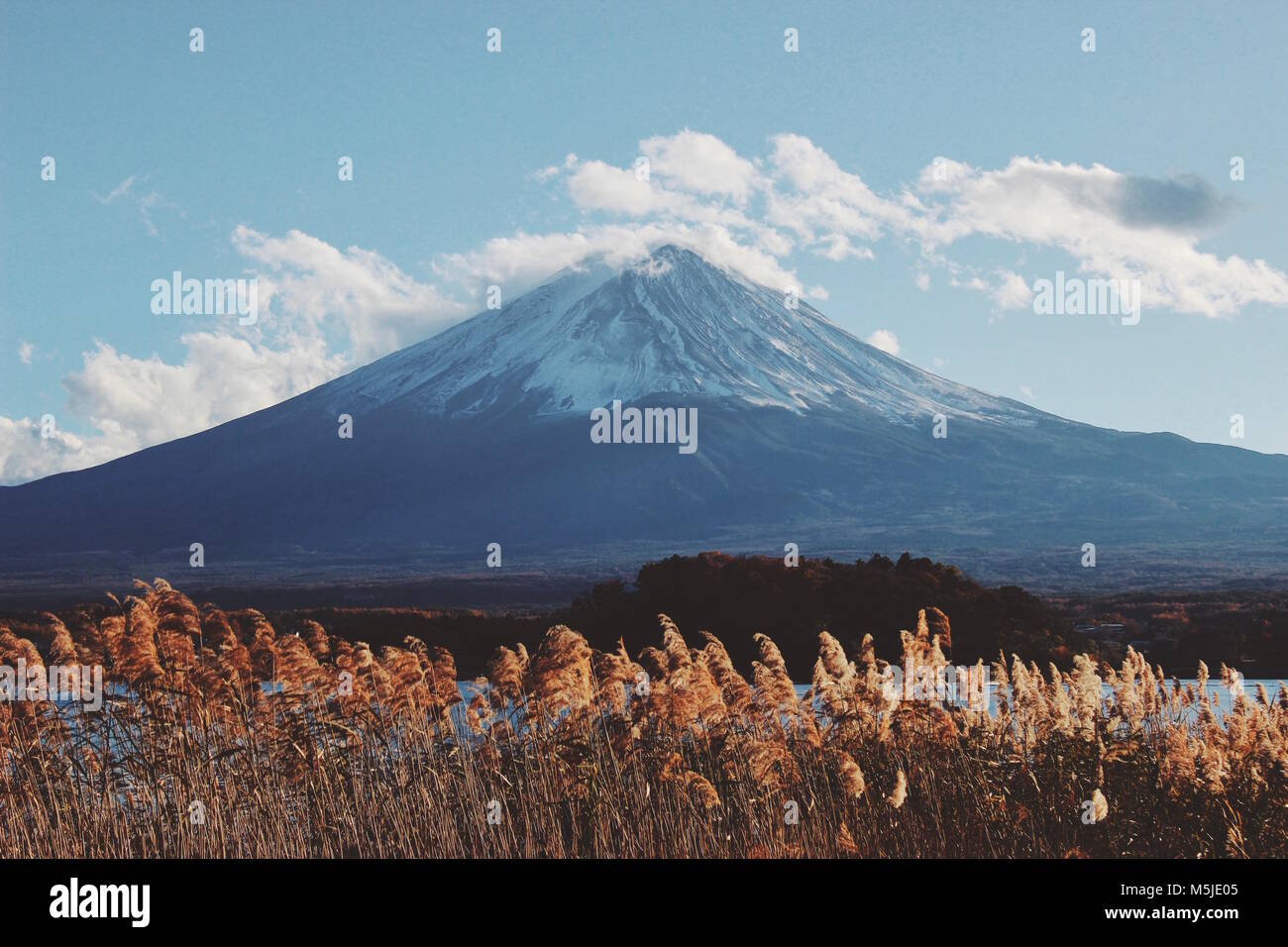 Mt Fuji Stock Photo