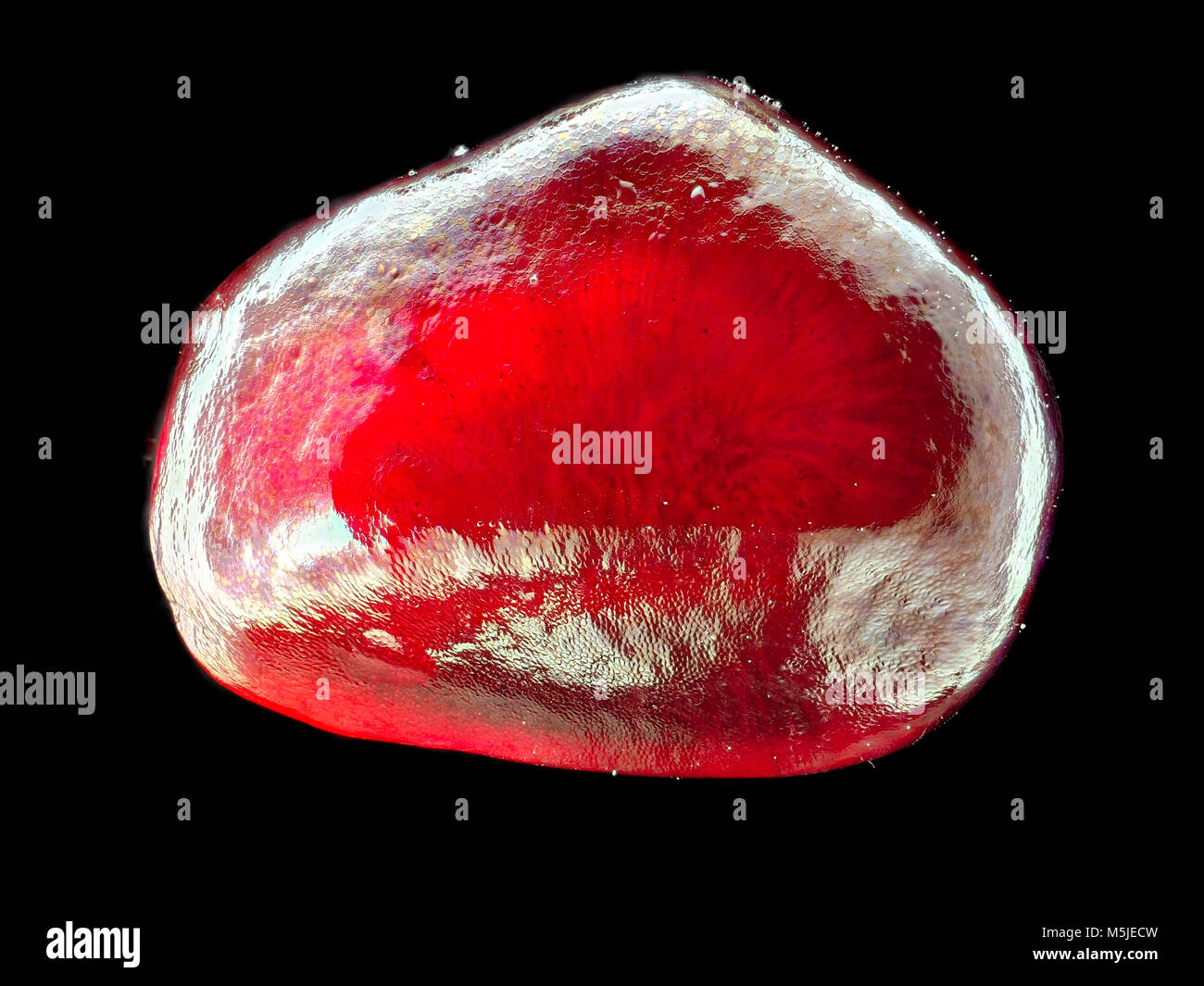 Pomegranate seed (aril) macro photography Stock Photo