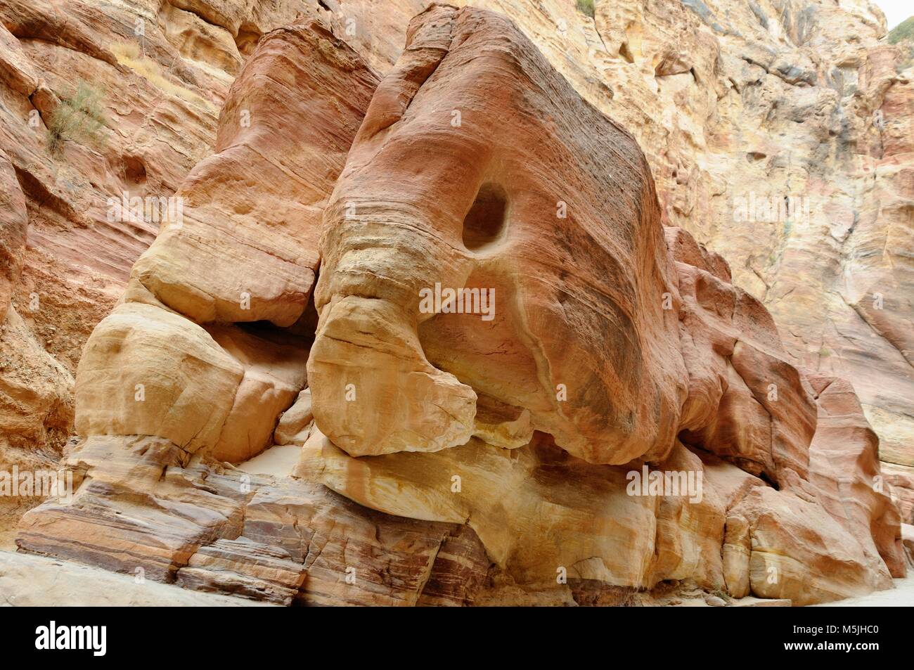 Two elephants are cut out from sandstone by erosion, Petra, Jordan Stock Photo