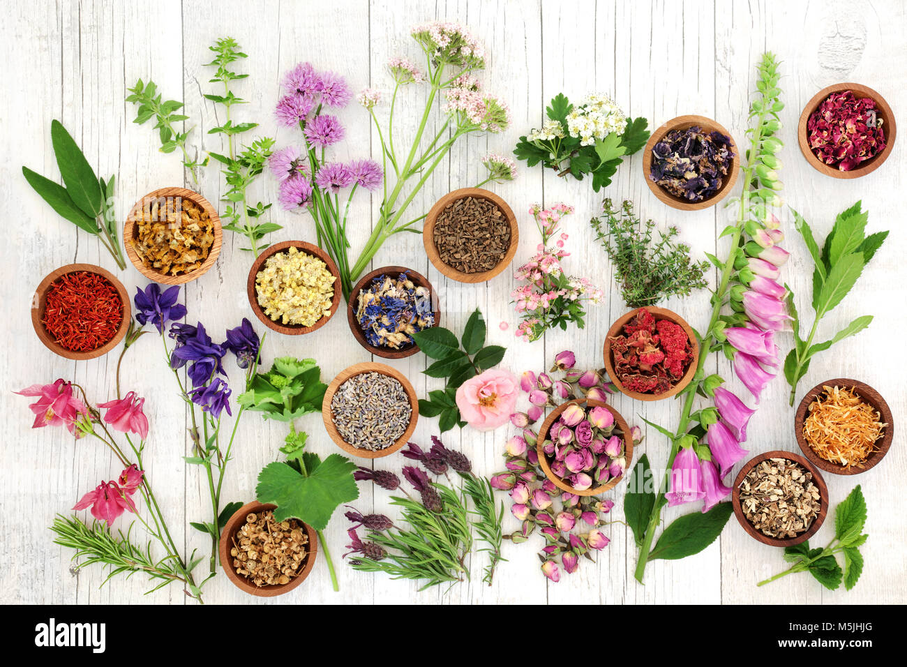 Herbs and flowers used in natural herbal medicine on rustic white wood