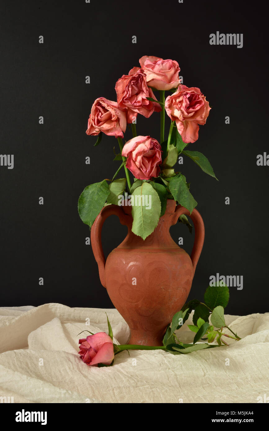 Five dying pink roses in a terracotta vase against a black background