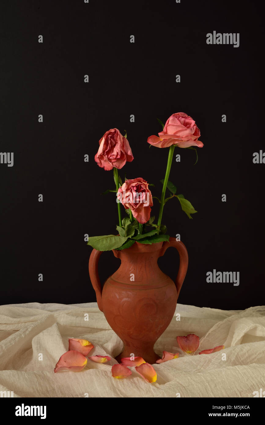 Dead Flowers In Vase Stock Photos & Dead Flowers In Vase Stock Images