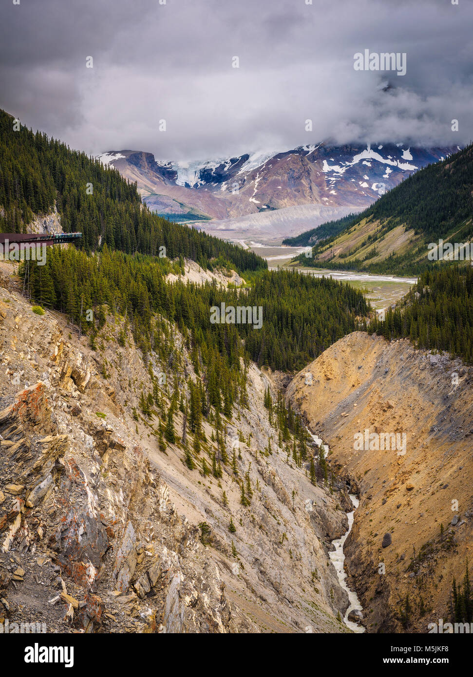 Glacier skywalk above the glacier valley in Jasper National Park Stock Photo
