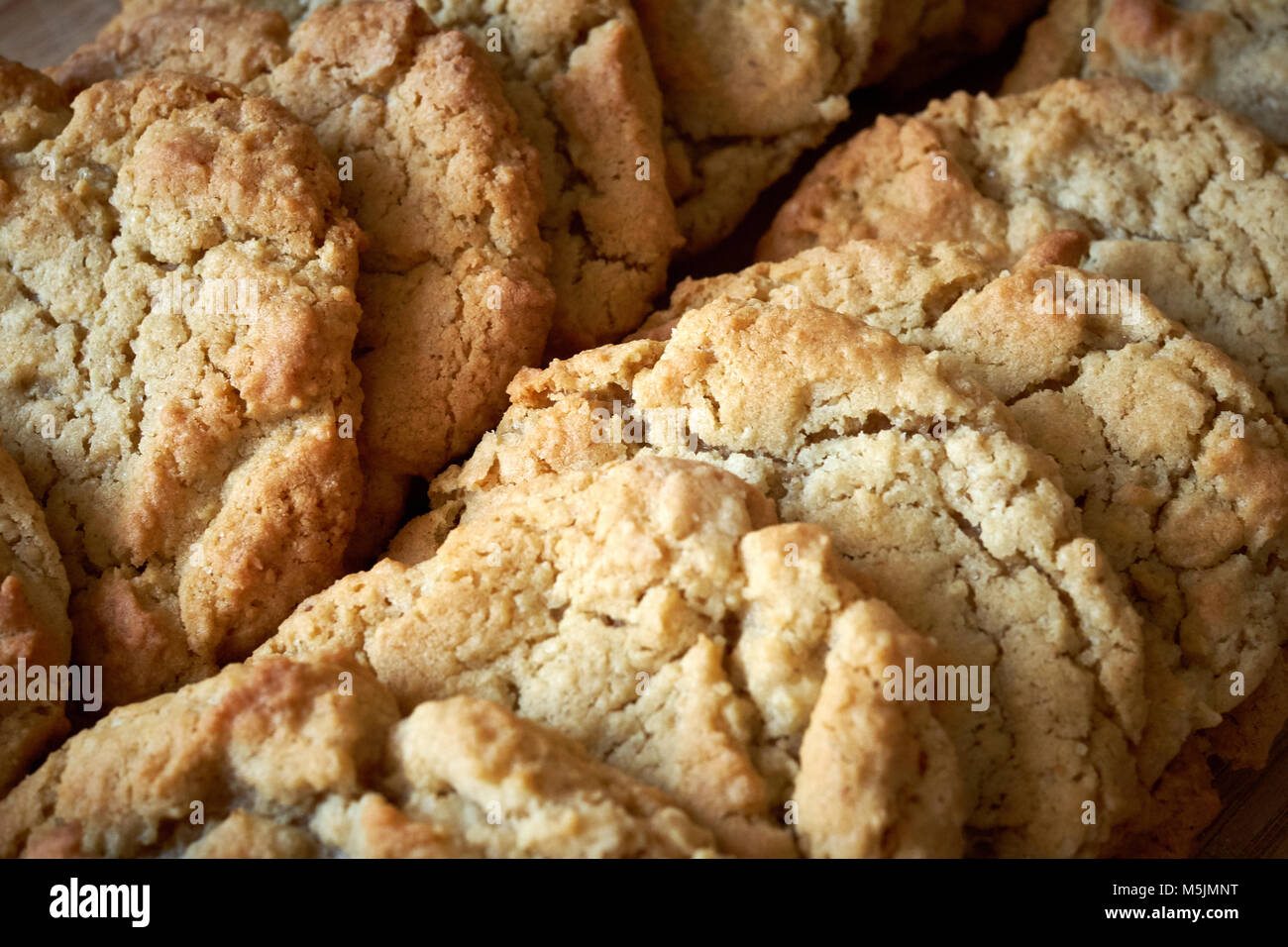 Two rows of freshly cooked plain American cookie biscuits laid out to