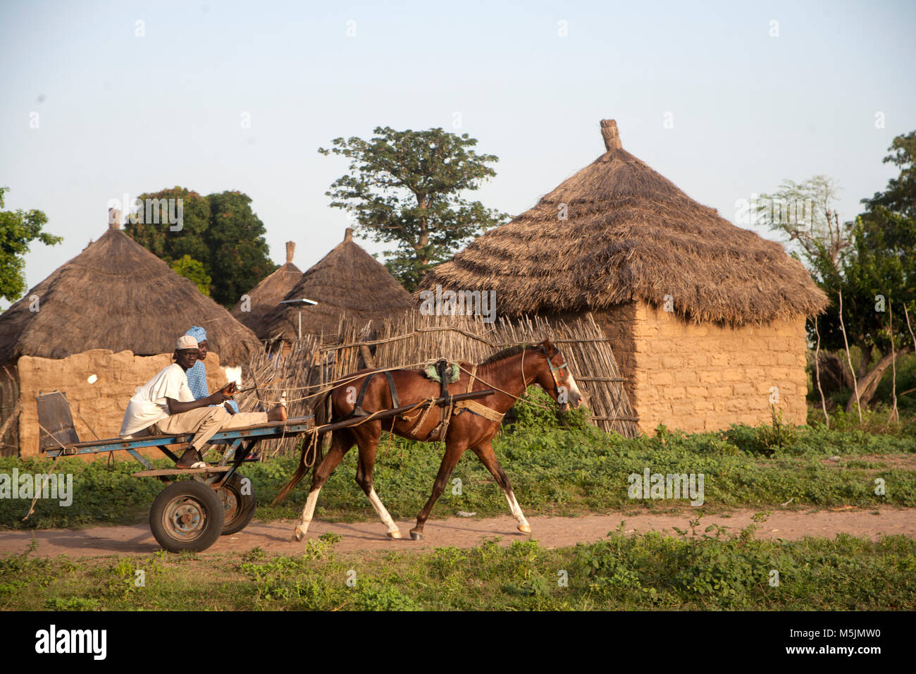 Man drives a horse cart in rural Senegal Stock Photo