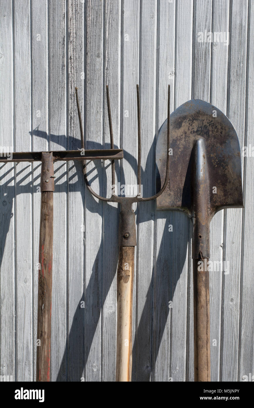The old rusty tools, implements or household equipment on wooden ...