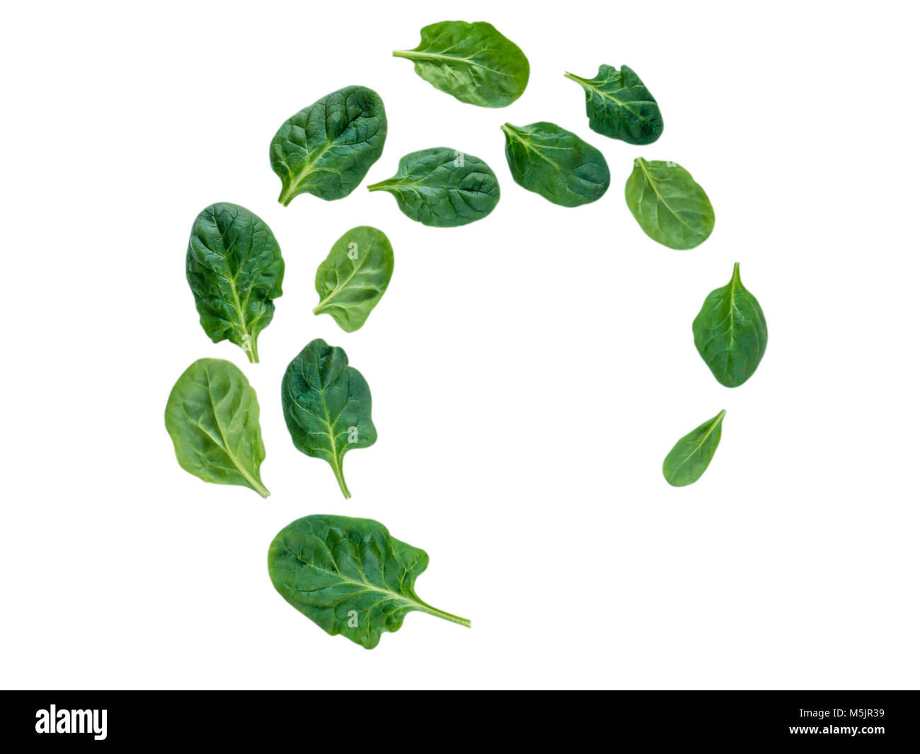 Spiral flying heap of green spinach leaves isolated on white Stock ...