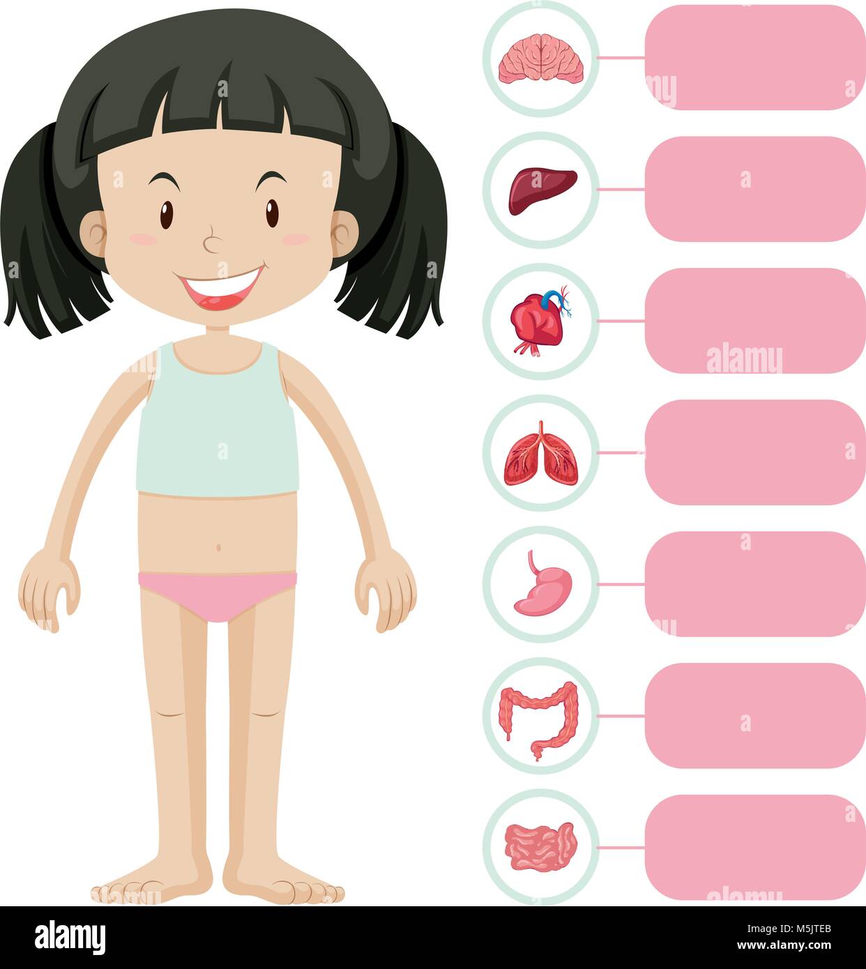 Little girl and different parts of body illustration Stock Vector