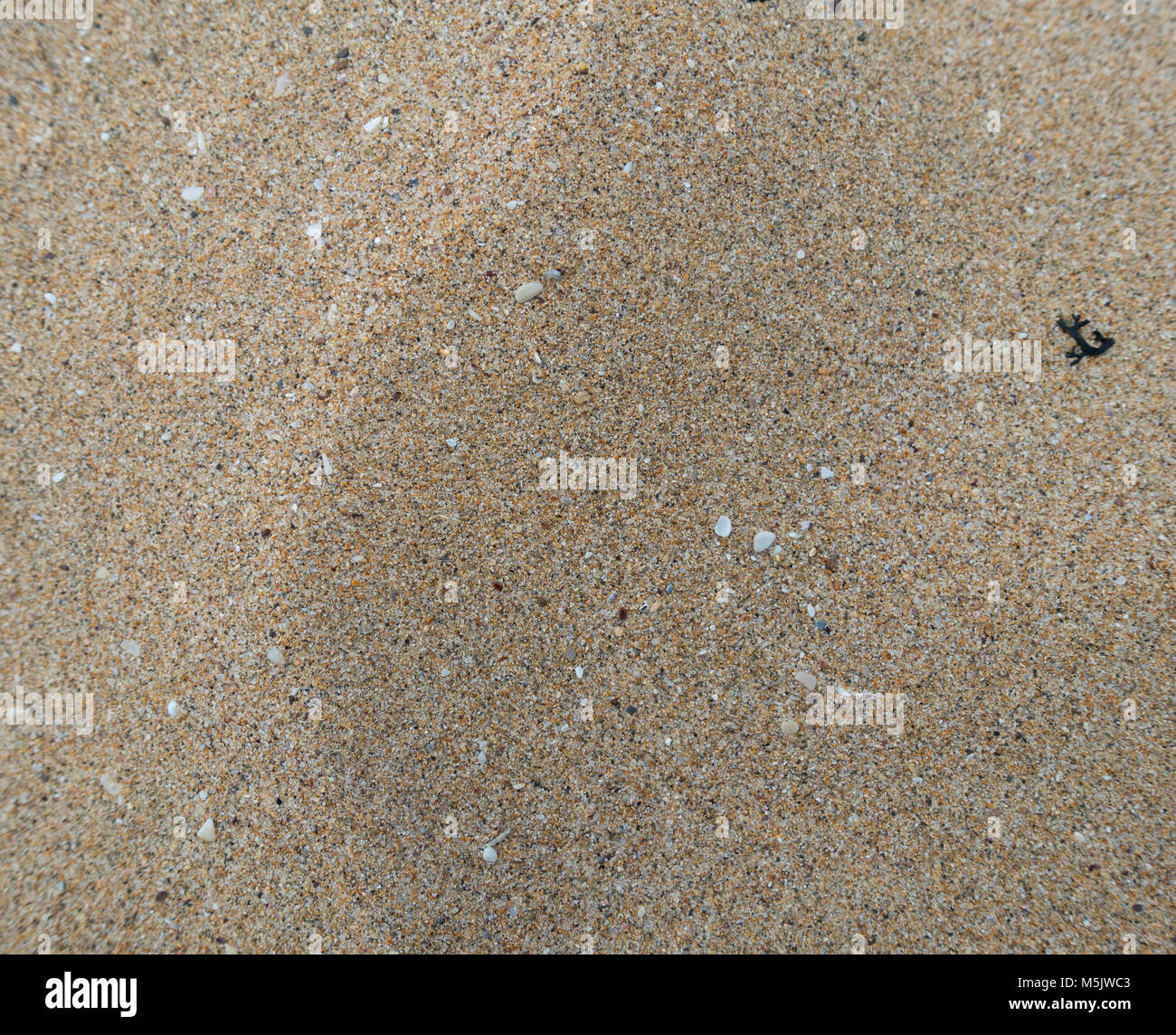 Microscopic sand grains hi-res stock photography and images - Alamy