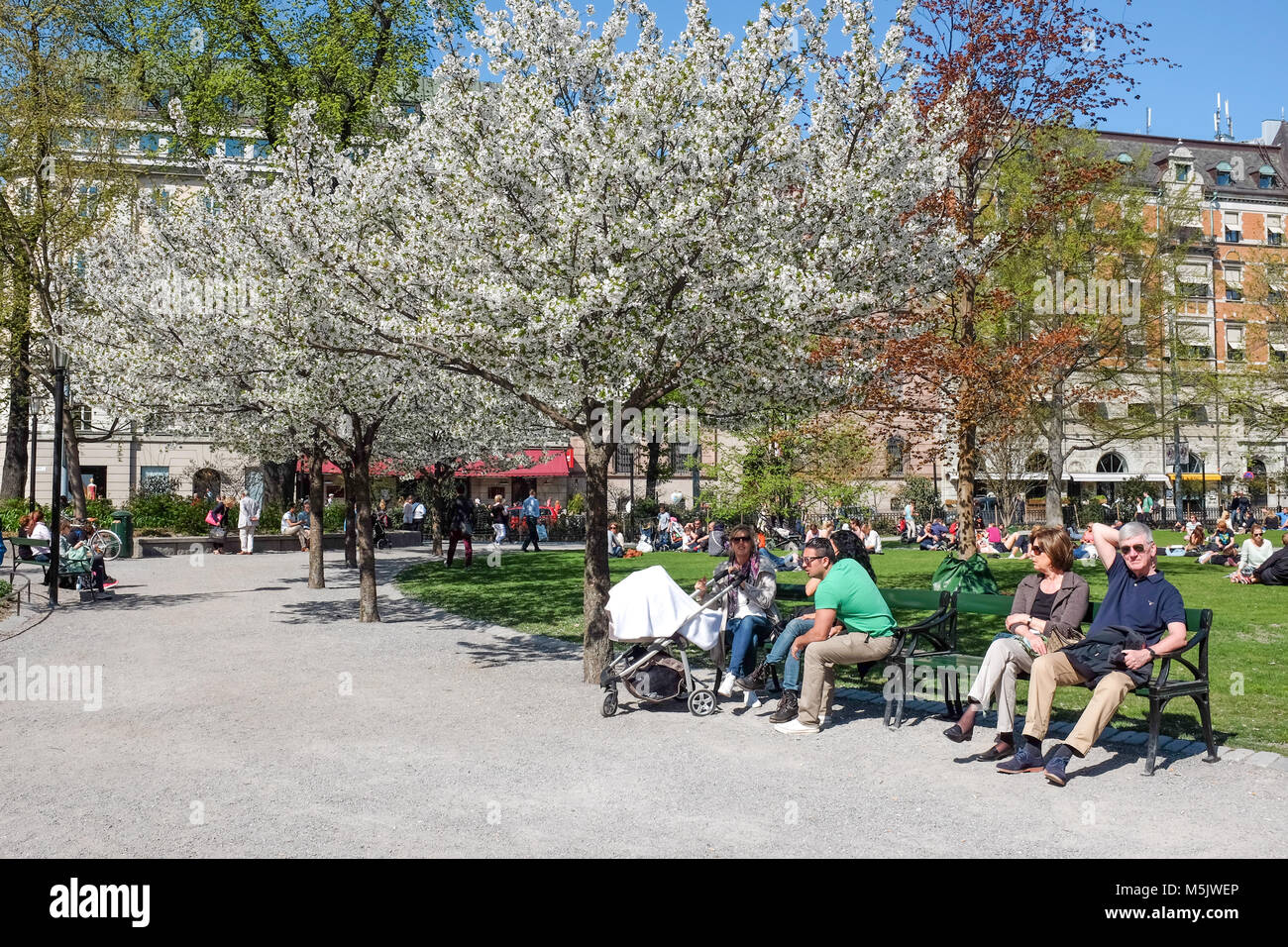People relax in Berzelii park during springtime in Stockhom. This is one of the most central parks in the city of Stockholm Stock Photo