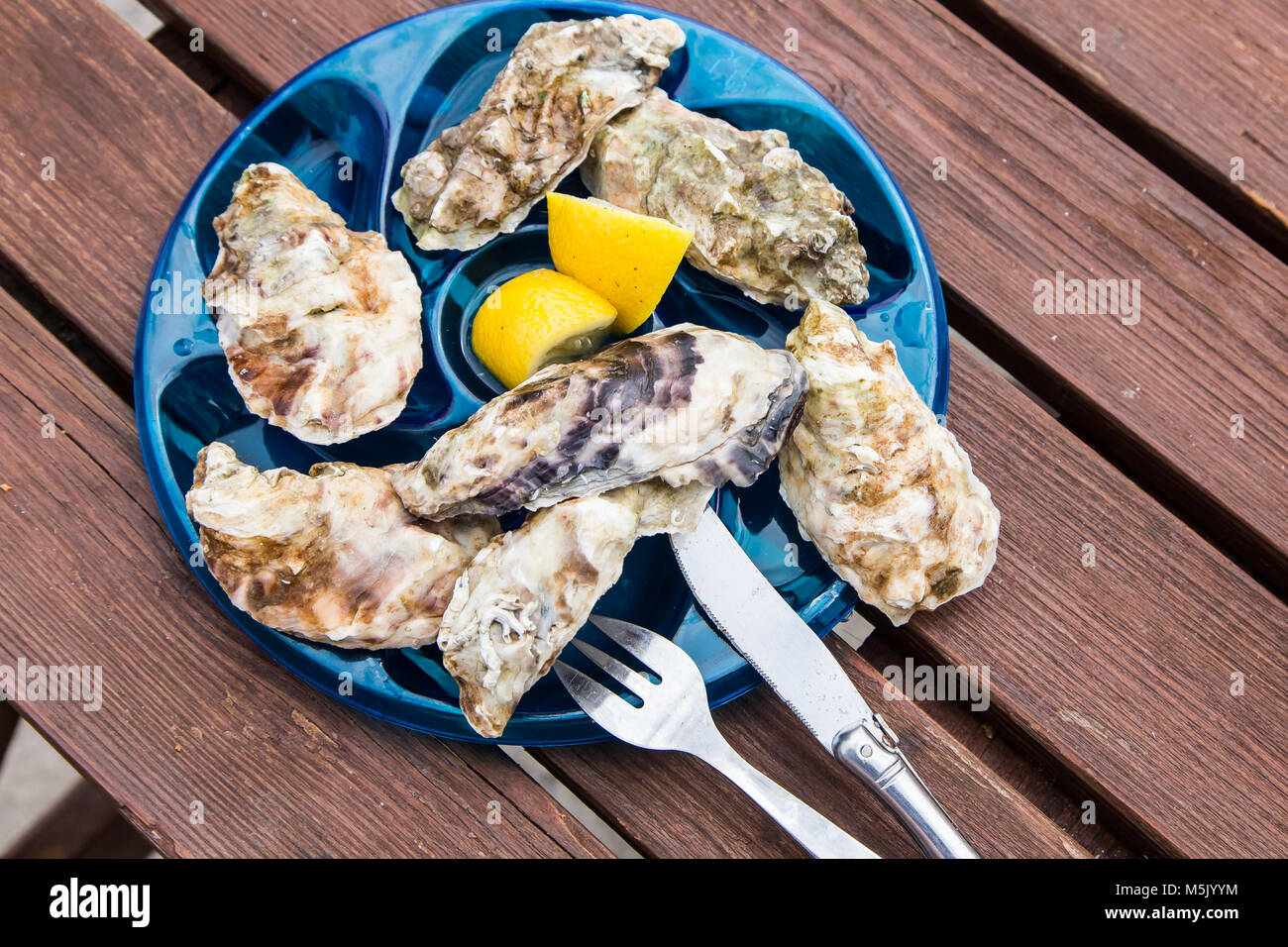 fresh oysters on aplate with lemon Stock Photo