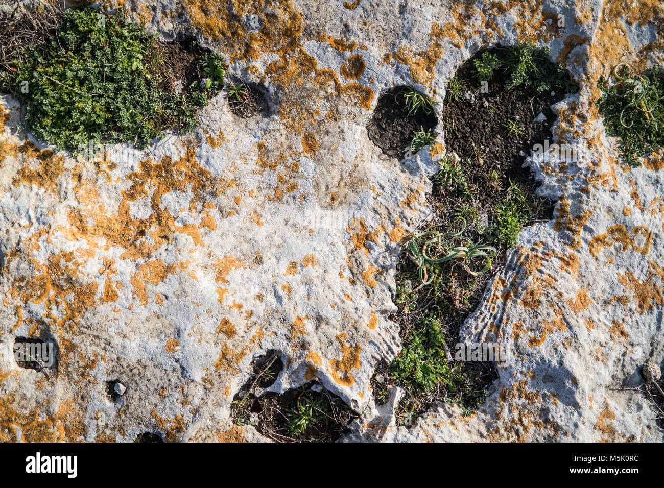 Texture on the rocks Stock Photo - Alamy