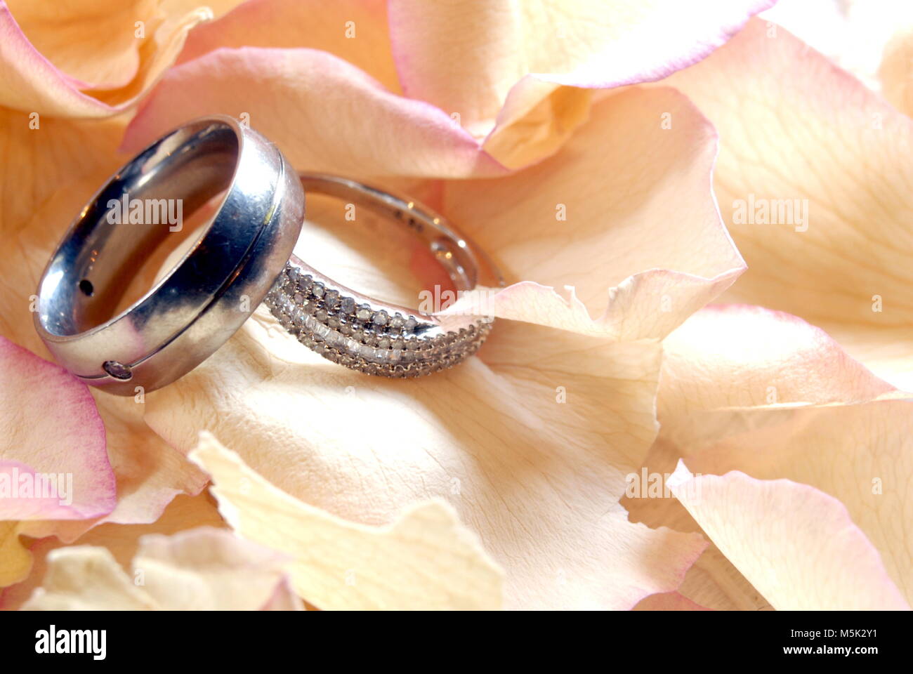 His and hers wedding rings on a bed of rose petals. Stock Photo