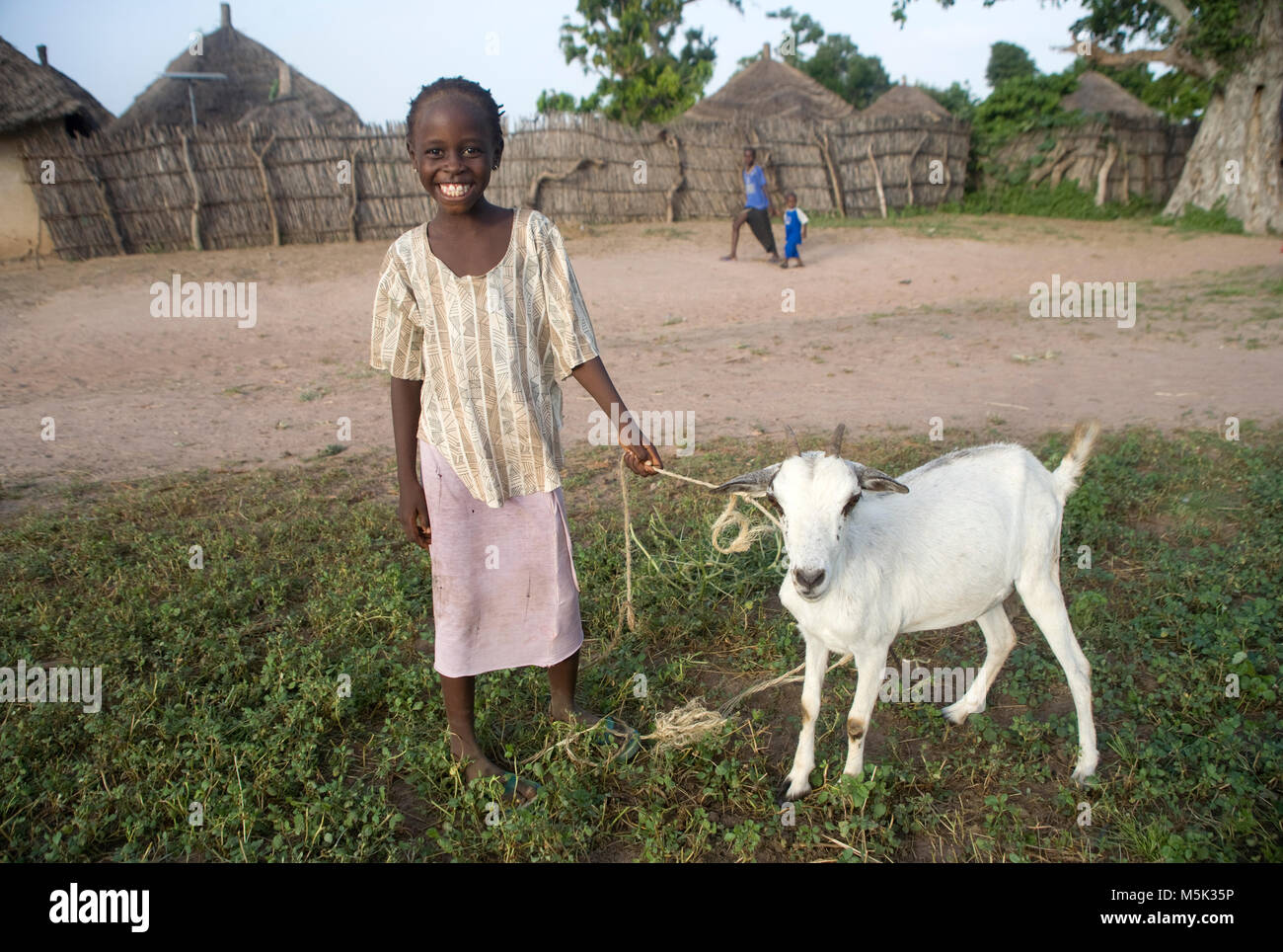 Senegalese girl with her goat Stock Photo