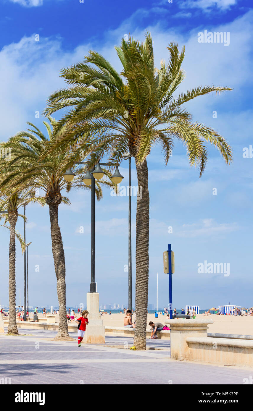 VALENCIA, Spain - April 25, 2014: Little boy plays ball at the feet of big palm trees on the sandy city beach Stock Photo
