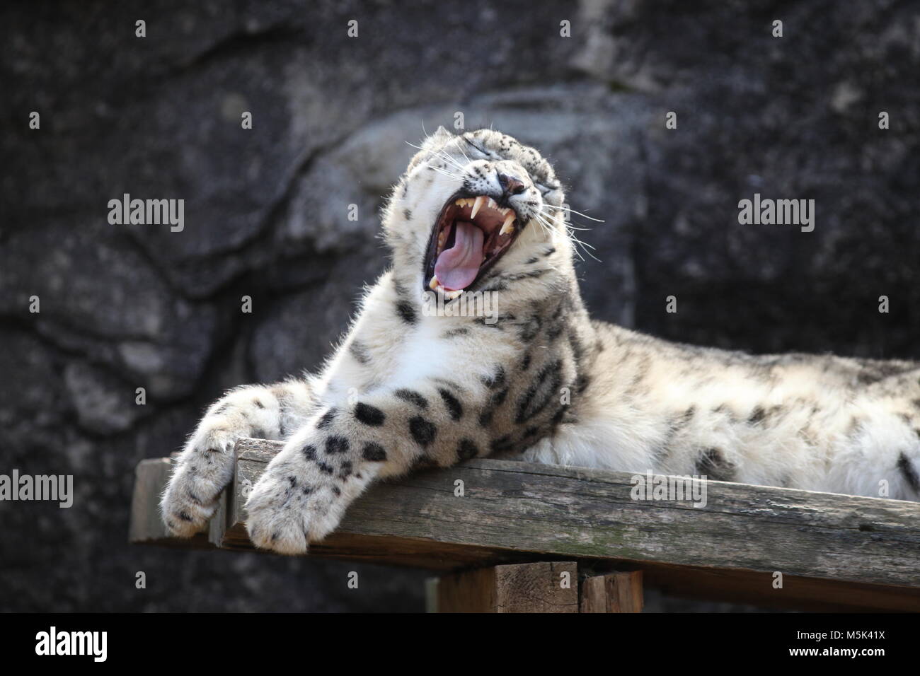 Tama Zoological Park,Tokyo Stock Photo