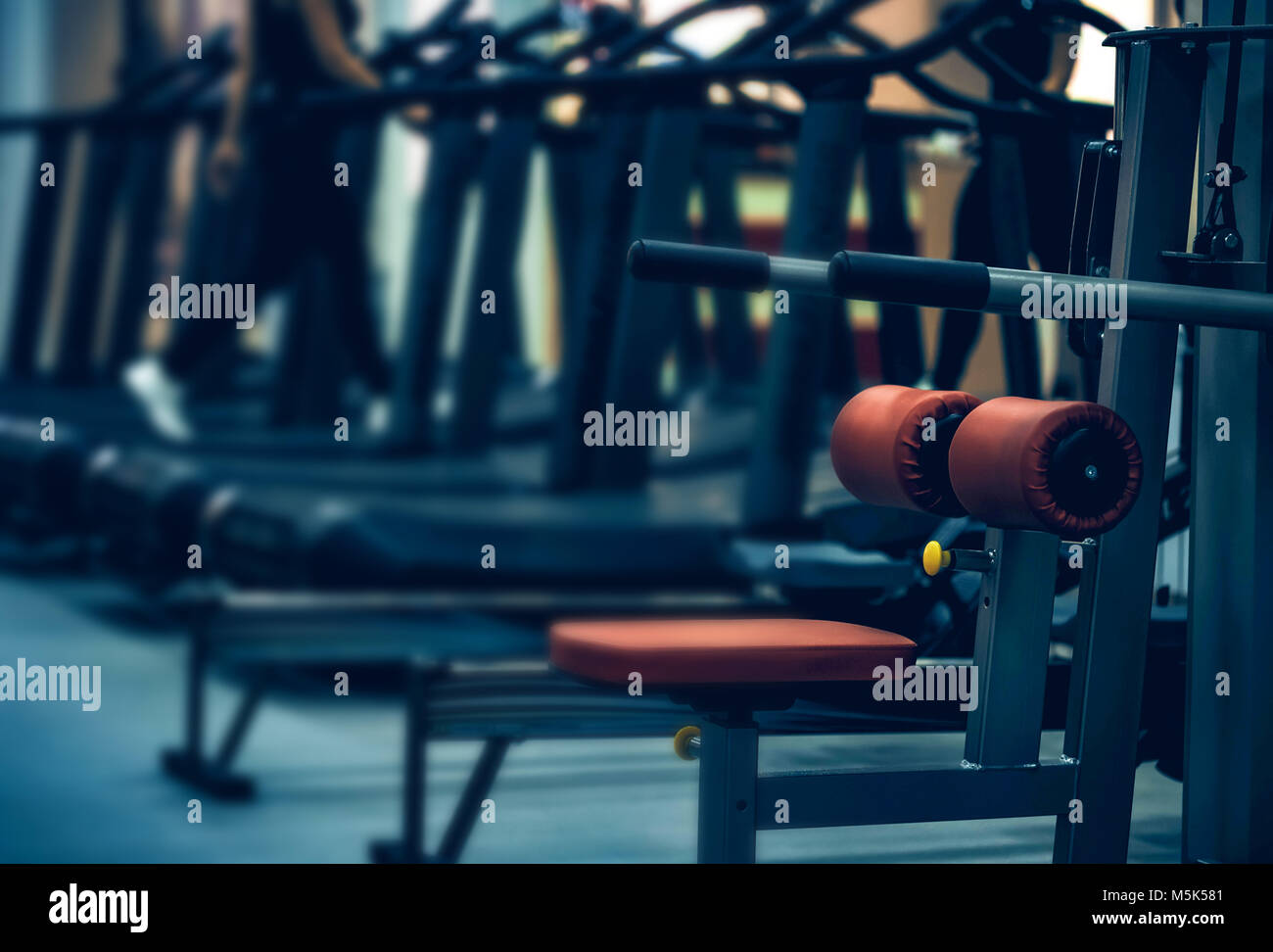 Closeup sport exercise equipment in modern gym Stock Photo Alamy