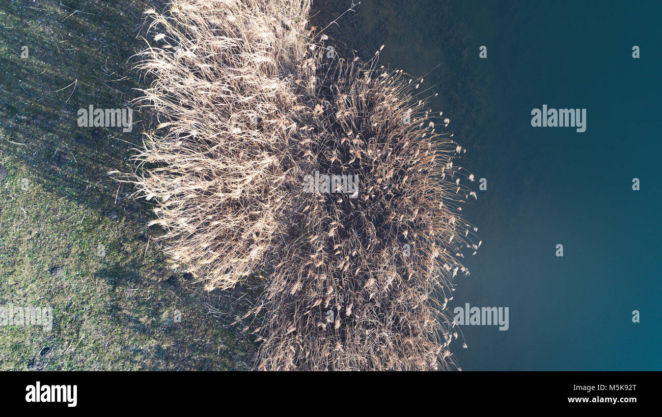 Aerial flight over small pond hi-res stock photography and images - Alamy