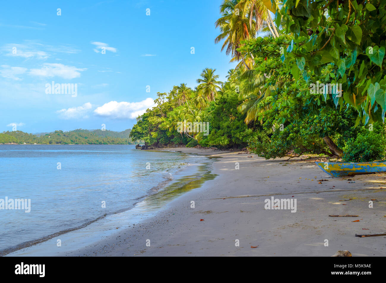 Palms and an old boat, sandy beach, Dominican Republic, caribbean sea Stock Photo