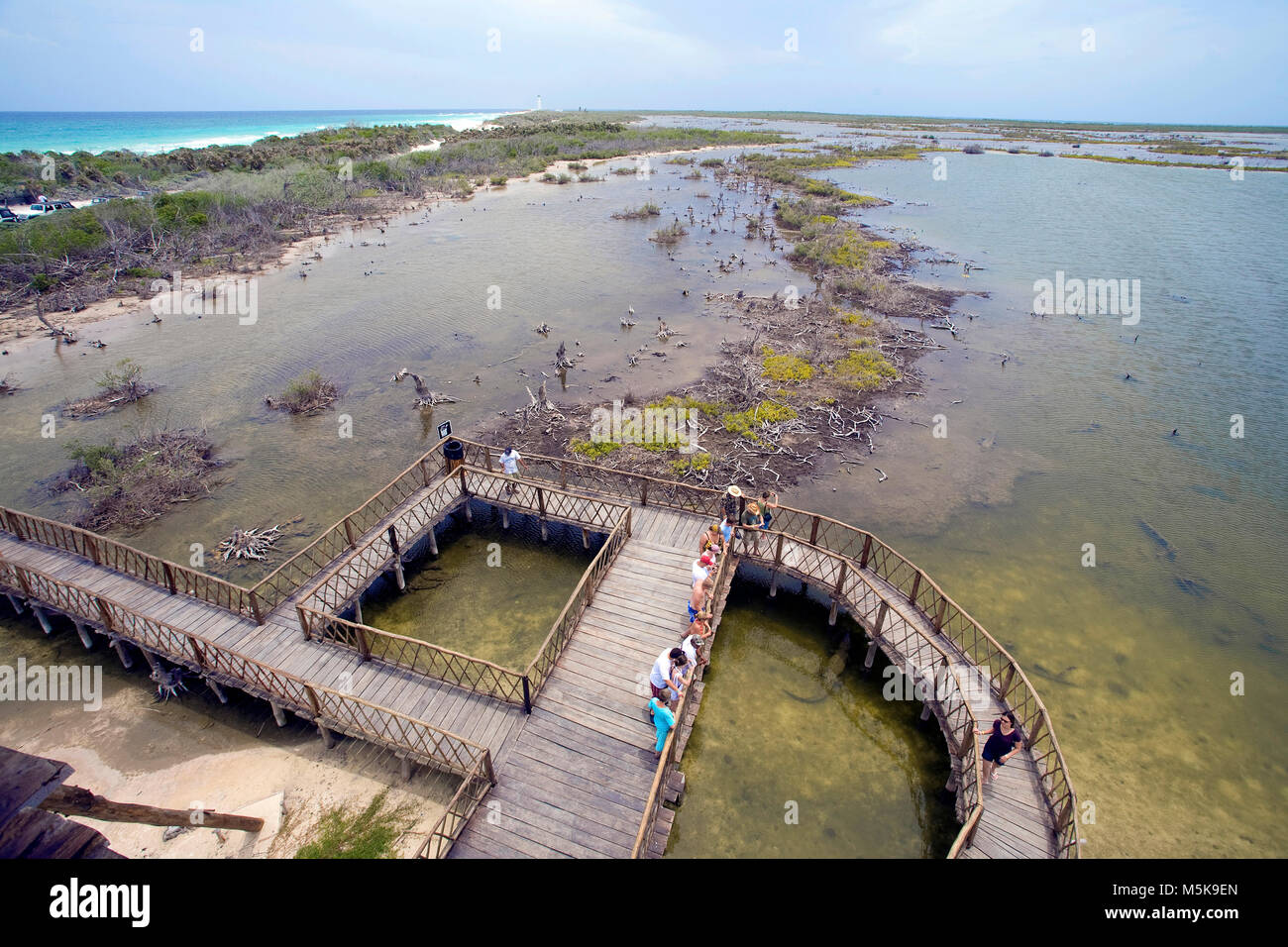 View from watch tower on observation deck and mangroves of crocodile zone, Punta Sur Park, Punta Sur, southside, Cozumel, Mexico, Caribbean Stock Photo