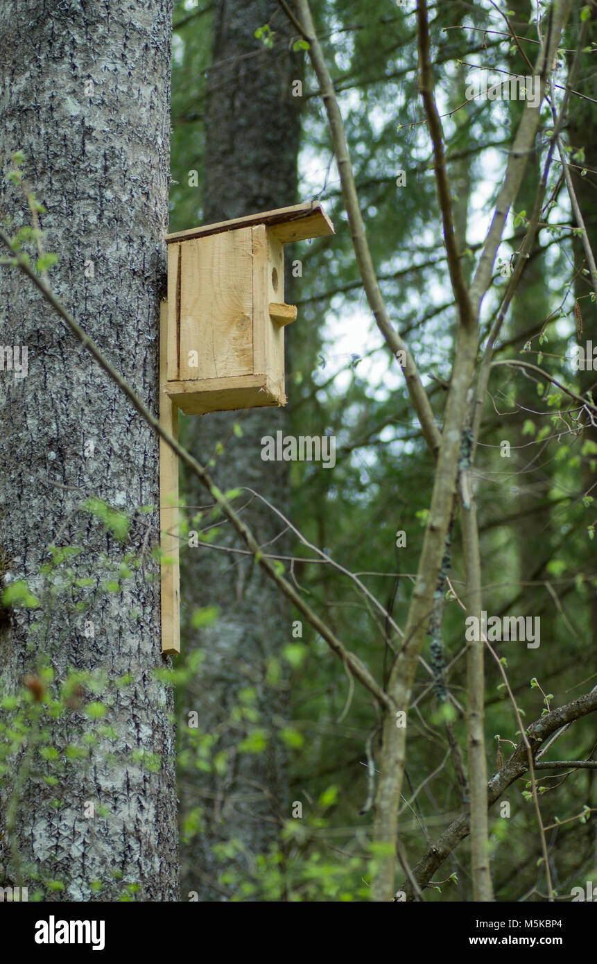 a birdhouse on a tree Stock Photo Alamy