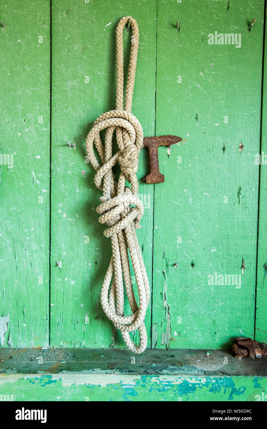 Rope hangs on wall of shed with chipping green paint, Cambridge, Maryland. Stock Photo