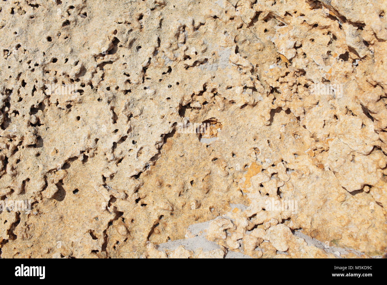 Background image of limestone texture Stock Photo - Alamy
