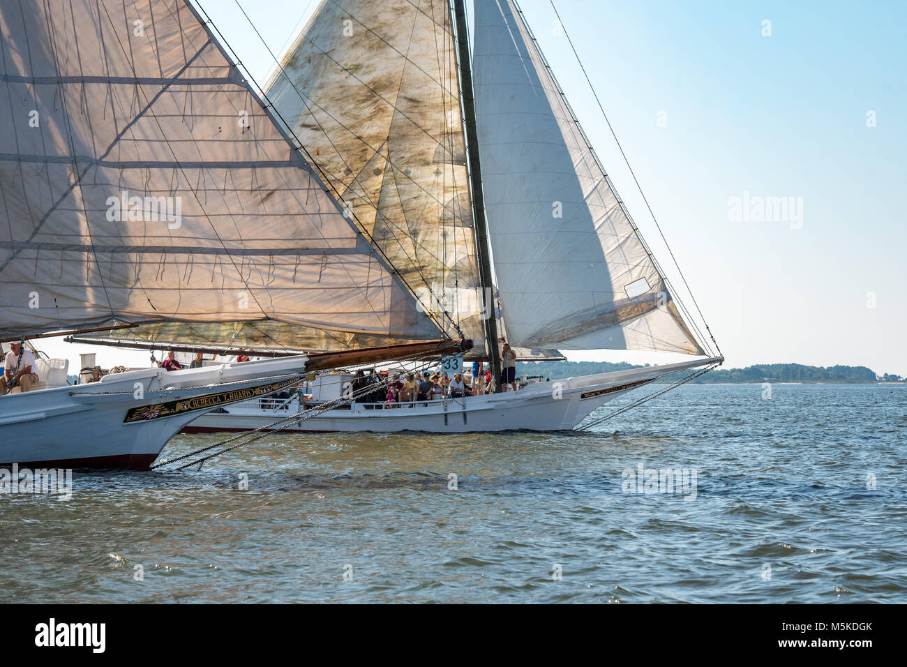 Two traditional skipjack boats crossing paths on the waters of the